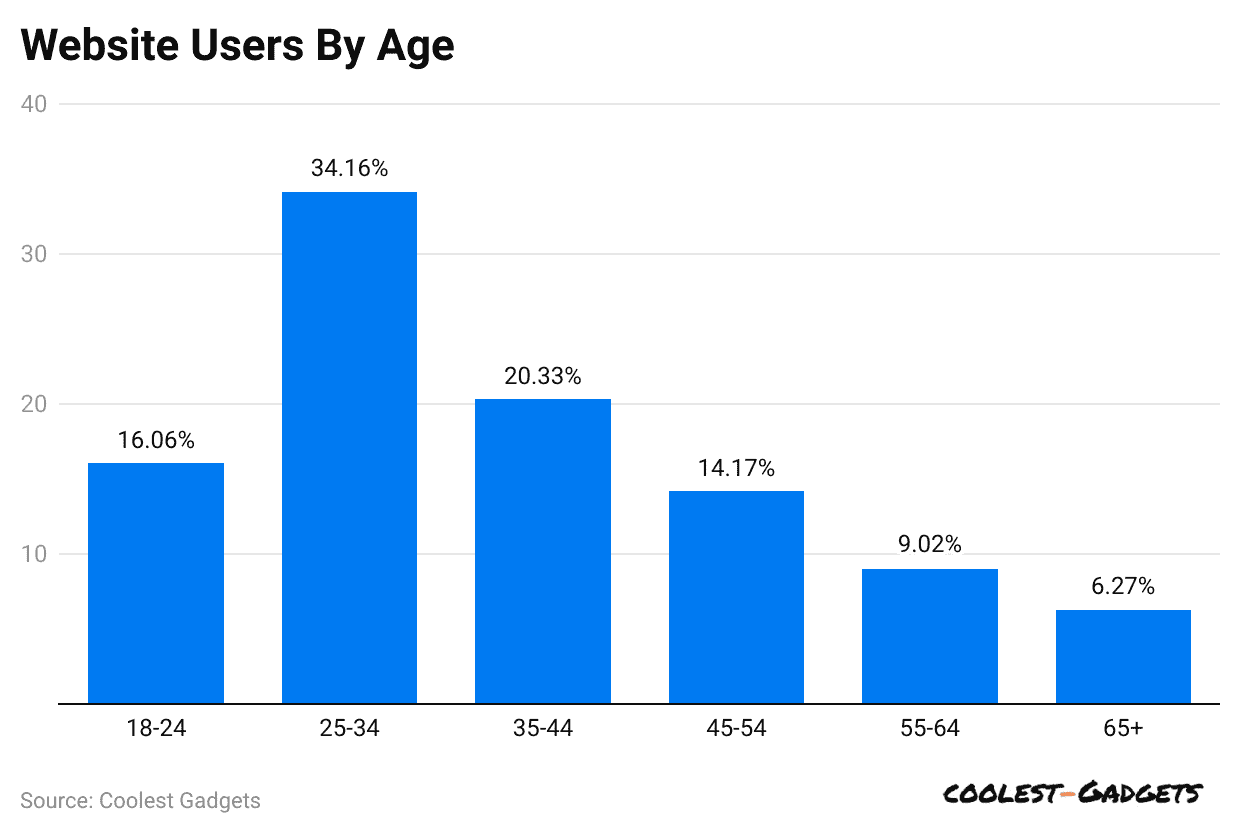 website-users-by-age
