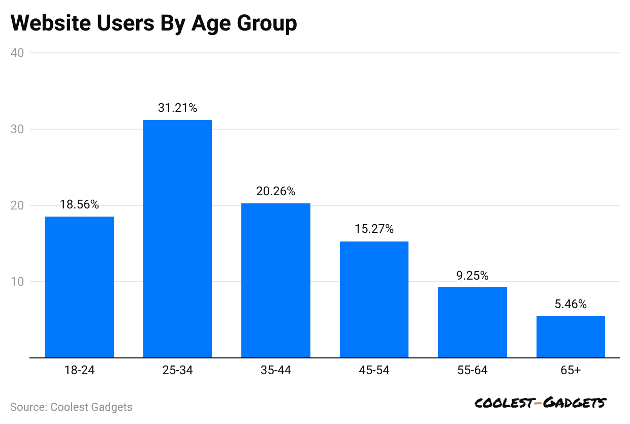 website-users-by-age-group