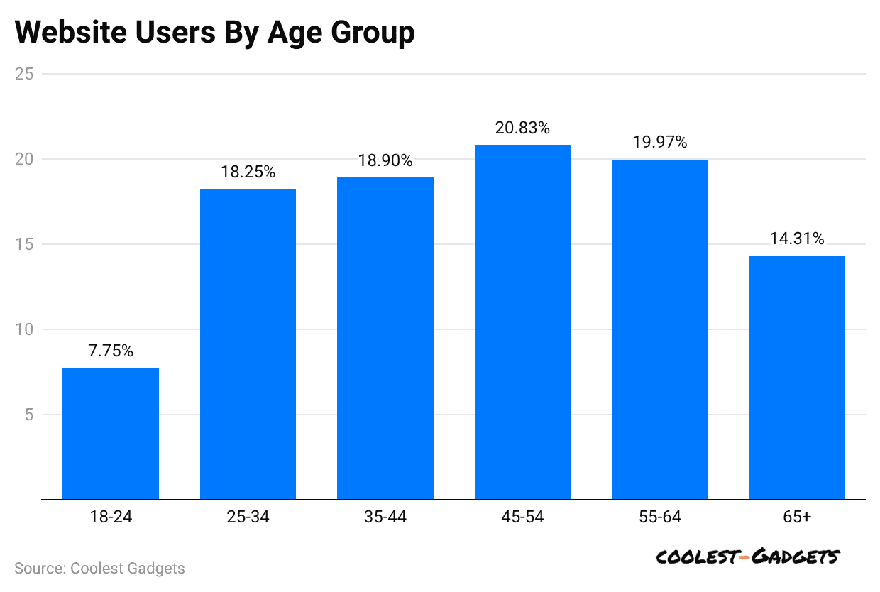 website-users-by-age-group