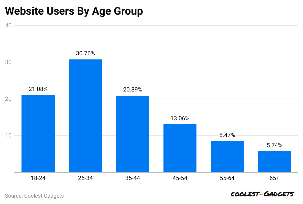 website-users-by-age-group
