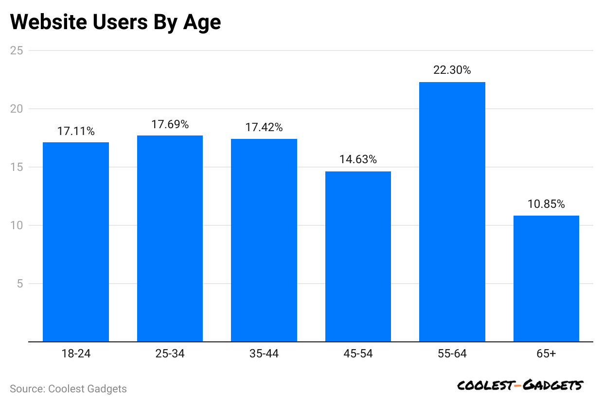 website-users-by-age